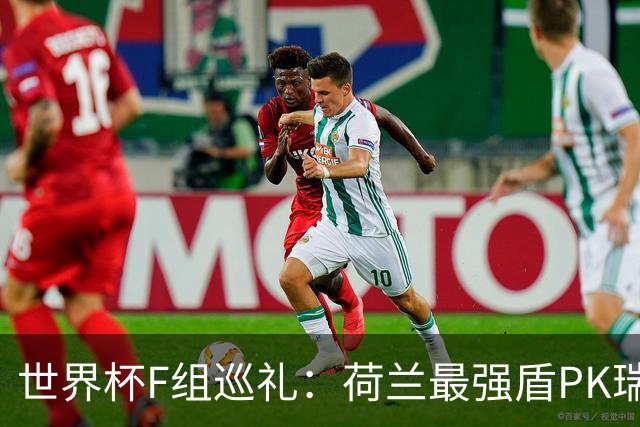 世界杯F组巡礼：荷兰最强盾PK瑞典犀利刀 日本短板明显